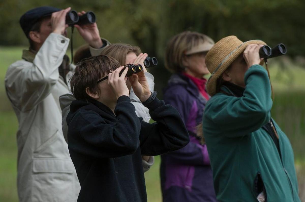 A group of bird-watchers take a tour at the Effie Yeaw Nature Center in Carmichael.  Effie Yeaw Nature Center is hosting its annual NatureFest Sunday, June 7.