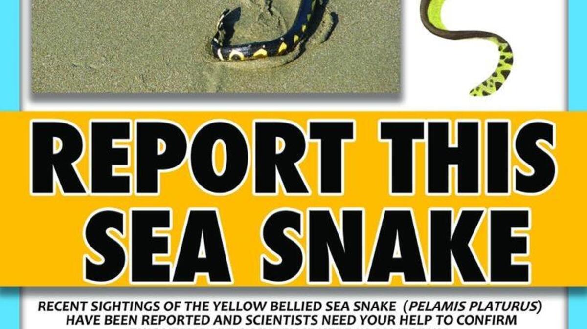 
Poster on website for Heal the Bay, www.healthebay.org.
