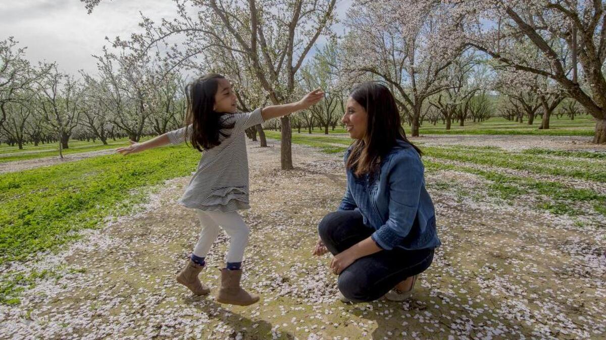Miraj Sanghvi plays with her daughter Sofiya, 4, in an almond orchard during the 101st annual Capay Valley Almond Festival along Highway 16 between Madison and Rumsey on Sunday, Feb. 28, 2016.