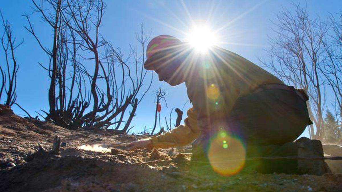 
Eric Nicita, US Forest Service soil scientist tests a soil sample following the King Fire in El Dorado county on Friday, October 10, 2014. The King Fire burned nearly 100,000 acres in recent weeks. The King Fire devastated a swath of the El Dorado National Forest the size of a major city, destroying 12 homes and 68 outbuildings. It shut down forest roads, burned through hiking trails and displaced hundreds of residents.
