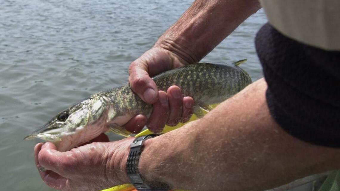Lake Davis to fill again, nearly a decade after chemicals were used to kill invasive fish