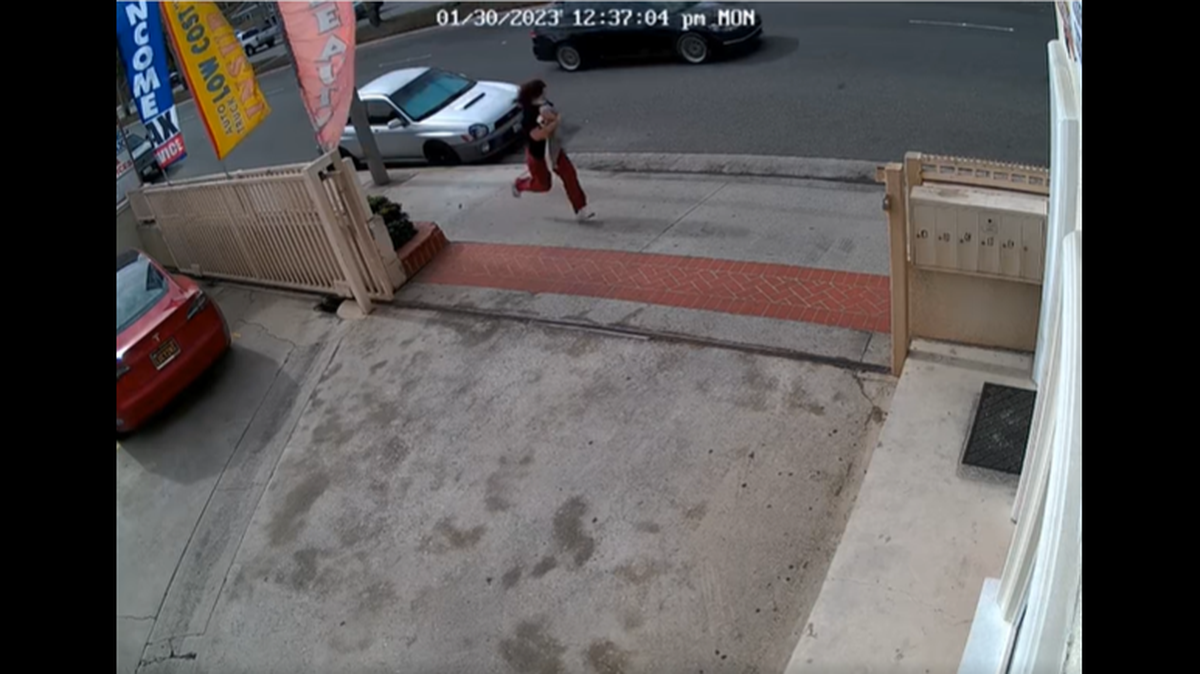 A woman stole a puppy after attacking and pepper spraying its owner, California police said.