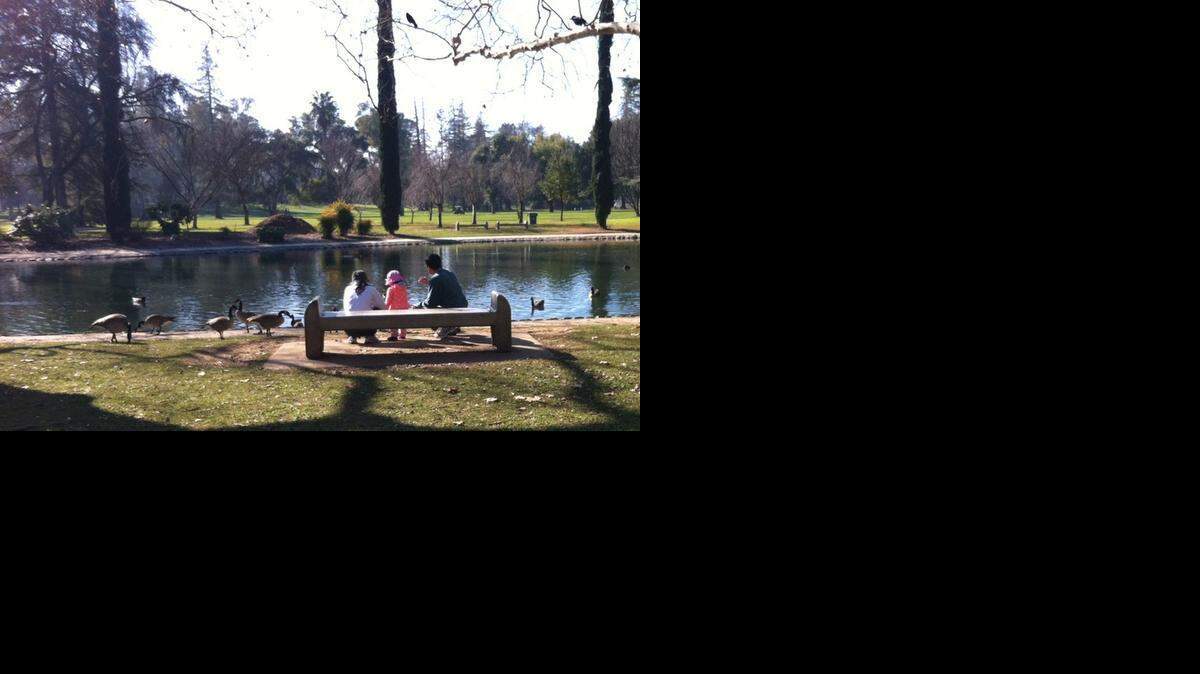 
A family takes advantage of a sunny break in the fog to feed geese near a pond in Land Park on Sunday.

