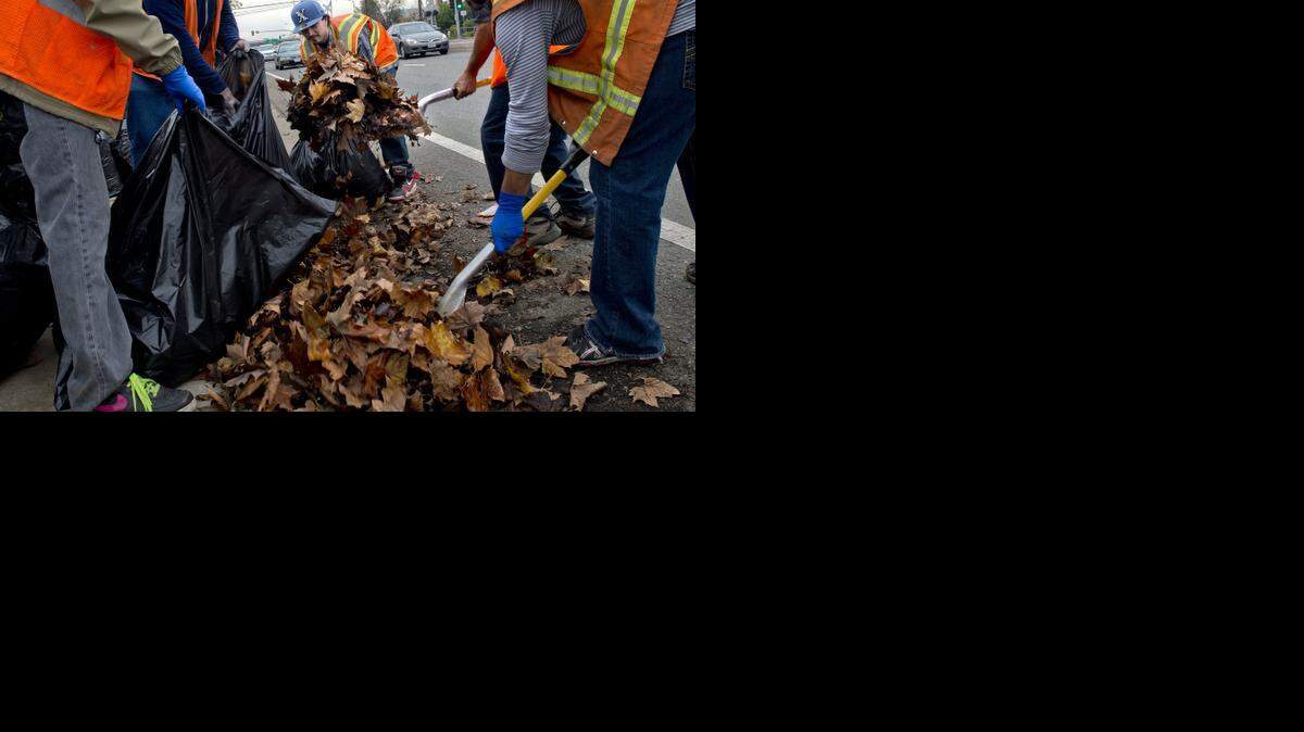 
Participants of the Sheriff's Work Project prepare for the storm by clearing leaves on Tuesday along Folsom Boulevard in Sacramento.
