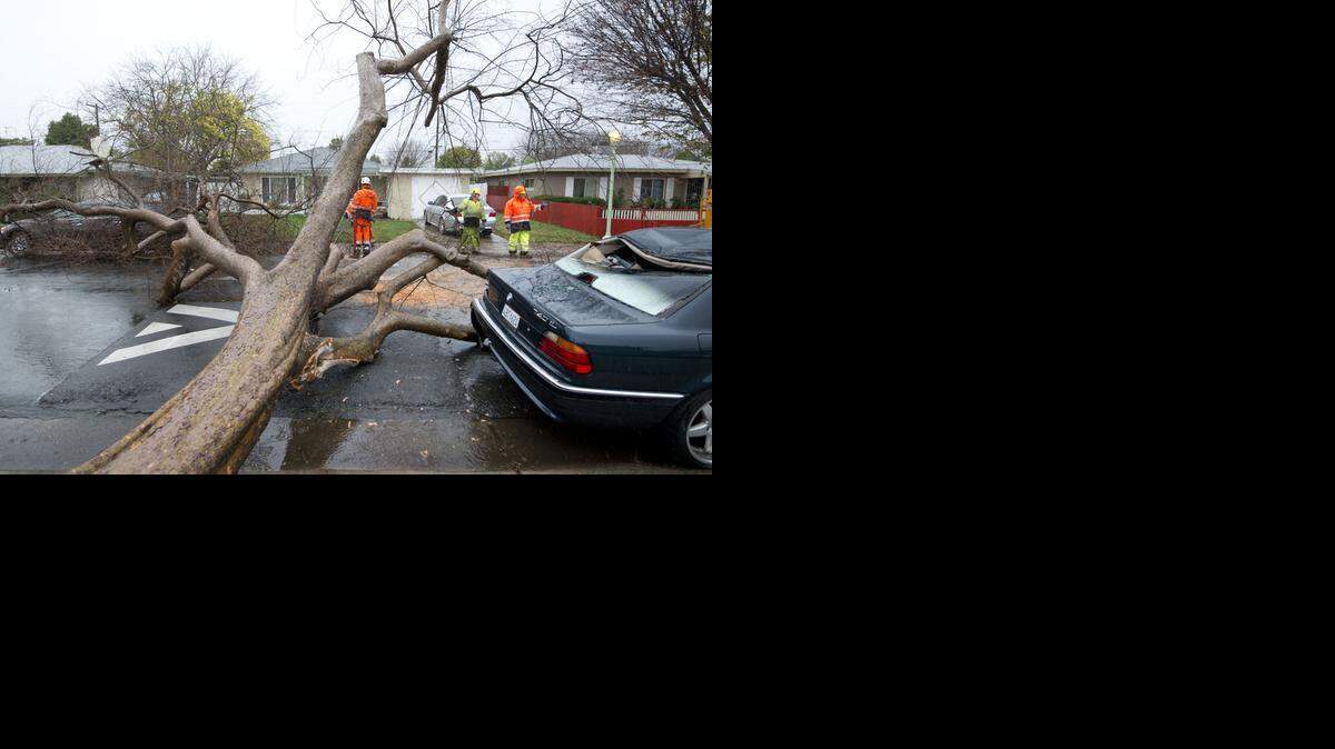 
Shallow roots in saturated ground contributed to the demise of a large tree that fell across 59th Street, striking a vehicle, right, north of Fruitridge Road on Thursday.
