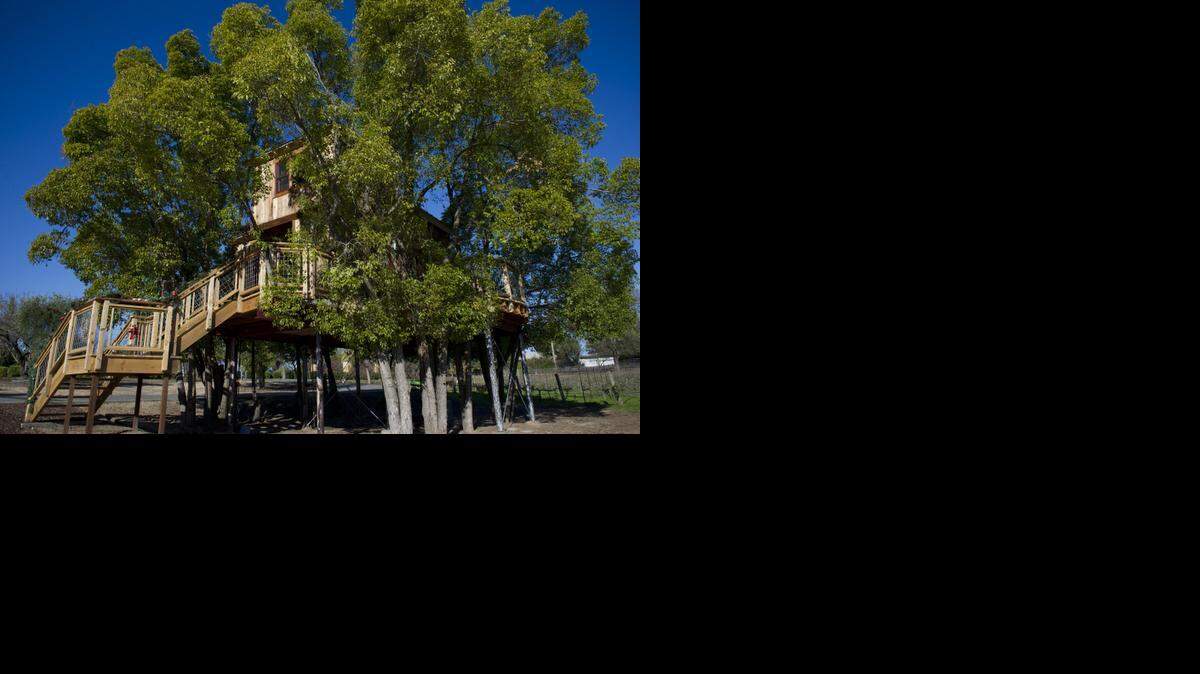 
Mike Splinter's Granite Bay treehouse was recently featured in the show Treehouse Masters, where an expert builder constructs a treehouse at someone's home.
