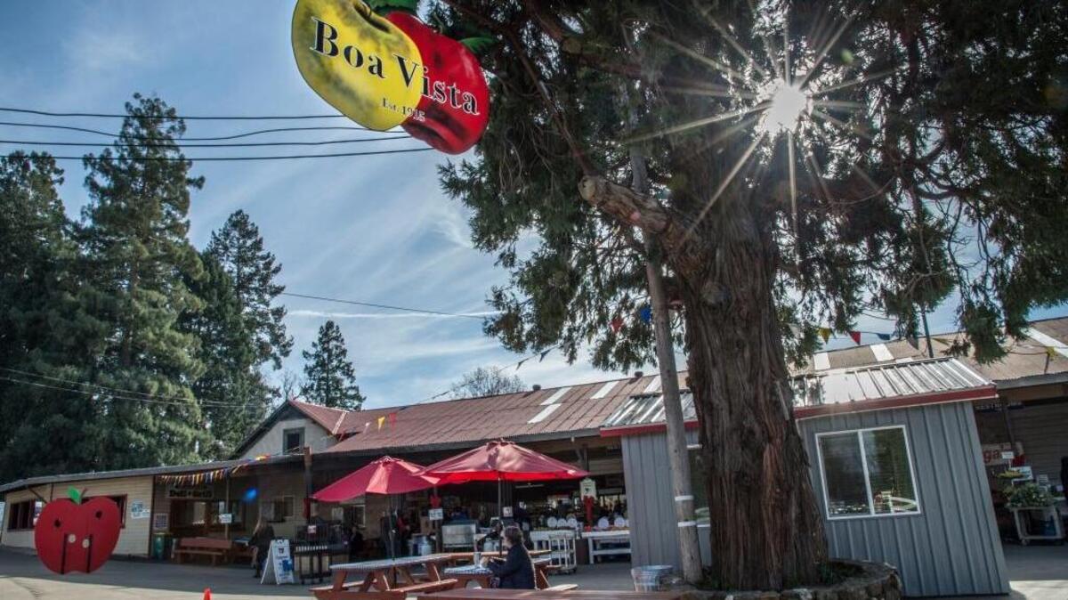 Boa Vista Orchards in Placerville on Friday, December 1, 2017 in Placerville, Calif. Boa Vista’s owners are being sued by the Apple Hill Growers in a trademark dispute over the term “Apple Hill.”