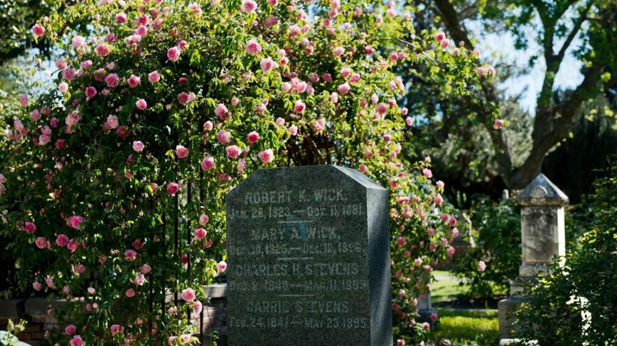 Roses in bloom in The Sacramento Historic City Cemetery's rose garden on Saturday March 26, 2016.