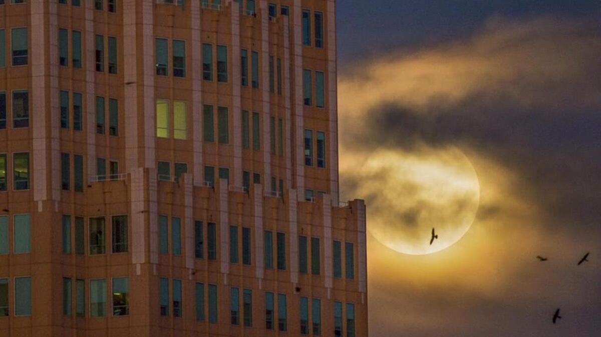 A supermoon rises over Sacramento on Nov. 13, 2016.