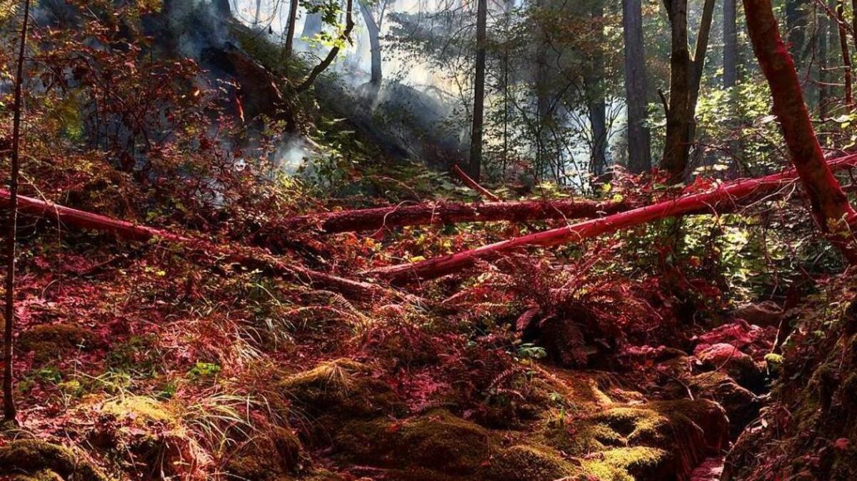 The Trailhead Fire along the middle fork of the American River was 85 percent contained as of Friday morning, the U.S. Forest Service reports.