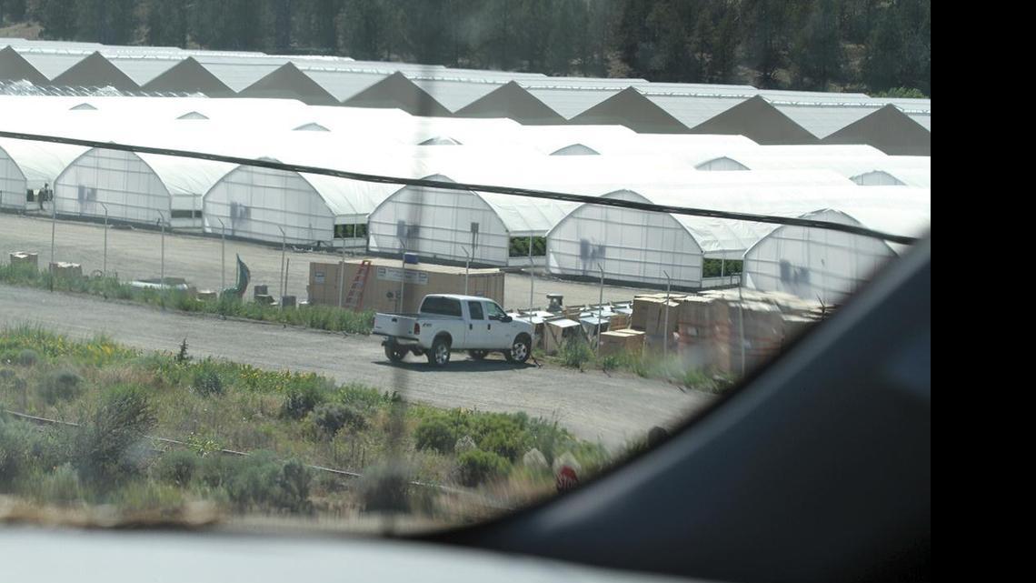 
A surveillance photo taken June 19 from the northbound shoulder of Highway 395 in rural Modoc County shows part of a large marijuana manufacturing site on the XL Ranch, which is American Indian land belonging to the Pit River Tribe. The white pickup truck belongs to a private security firm contracted to guard the site. 
