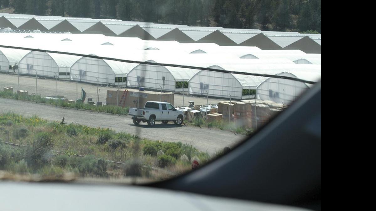 
A surveillance photo taken June 19 from the northbound shoulder of Highway 395 in rural Modoc County shows part of a large marijuana manufacturing site on the XL Ranch, which is American Indian land belonging to the Pit River Tribe. The white pickup truck belongs to a private security firm contracted to guard the site. 
