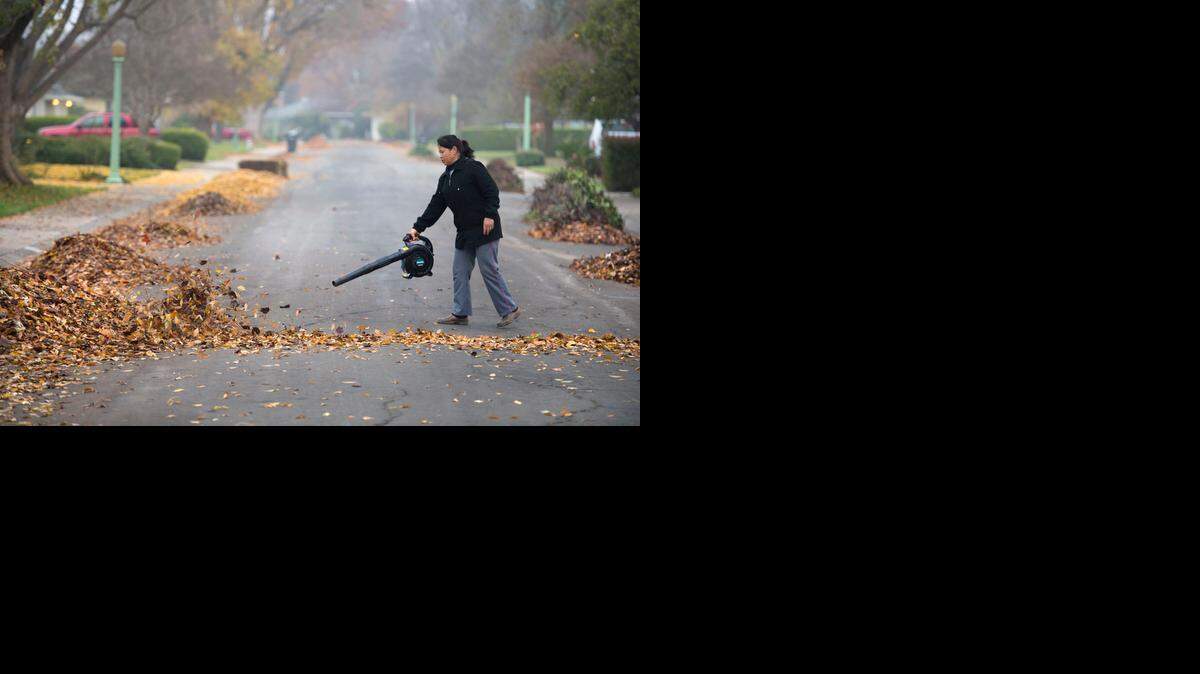 
Maya Gurung, a 13-year River Park resident, cleans up leaves on her street in preparation for the storm Wednesday.
