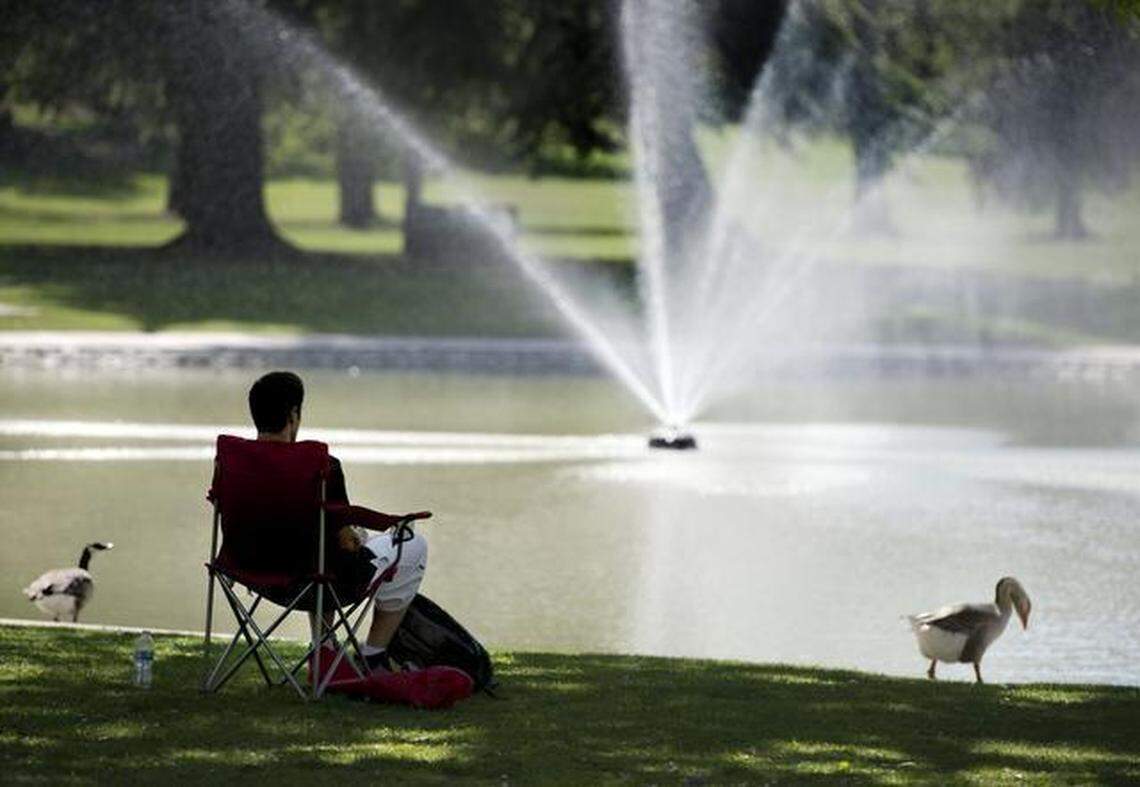 This scene from Land Park in 2014 likely will be repeated time and again with warm, dry weather continuing to dominate in the Sacramento region and beyond as spring 2015 replaces winter.