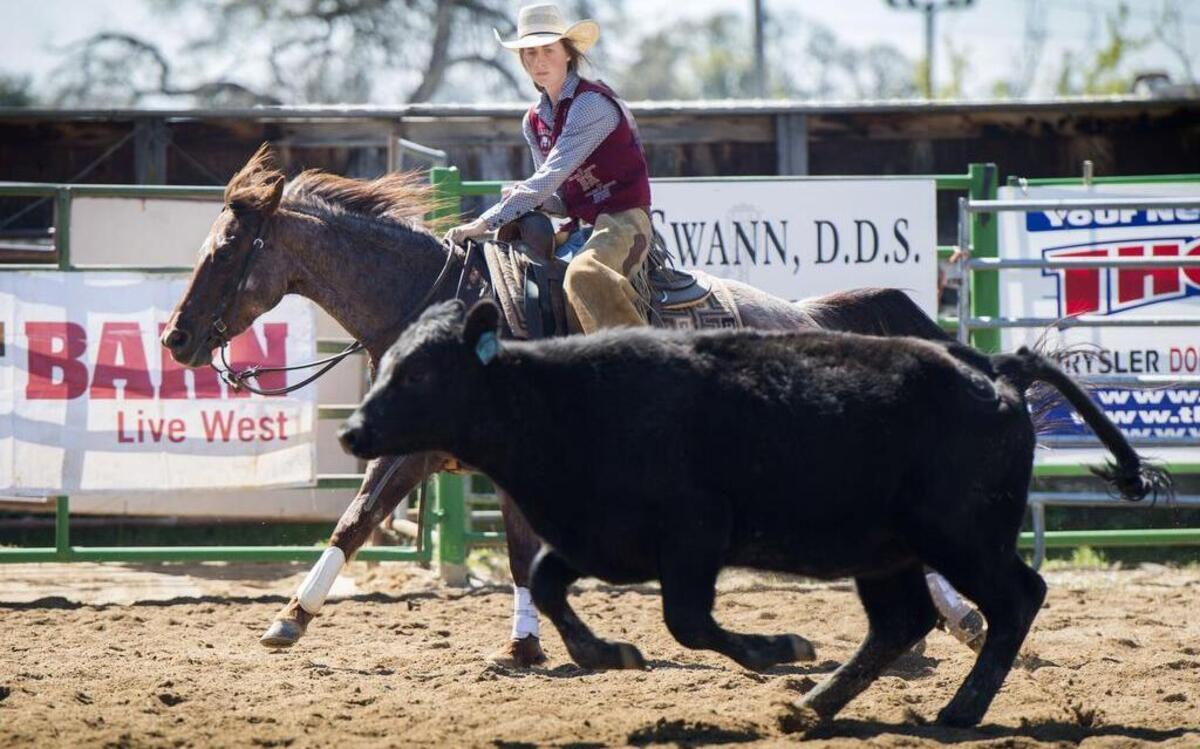 Molly Sparrowk, 18, of Clements, competes in the finals of the Girls Cutting Competition at the California High School Rodeo Association's Challenge of Champions in Plymouth on Friday, March 18, 2016.