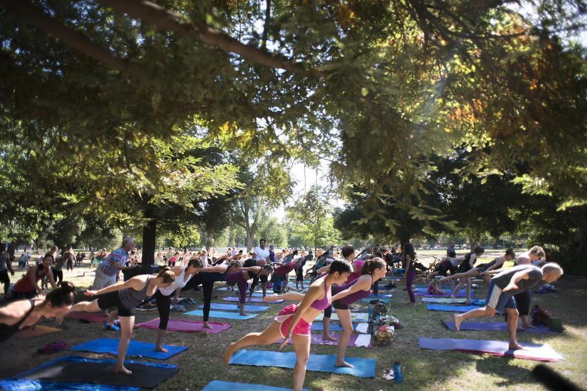 More than 100 people attended a free yoga class at McKinley Park on July 2, 2016.
