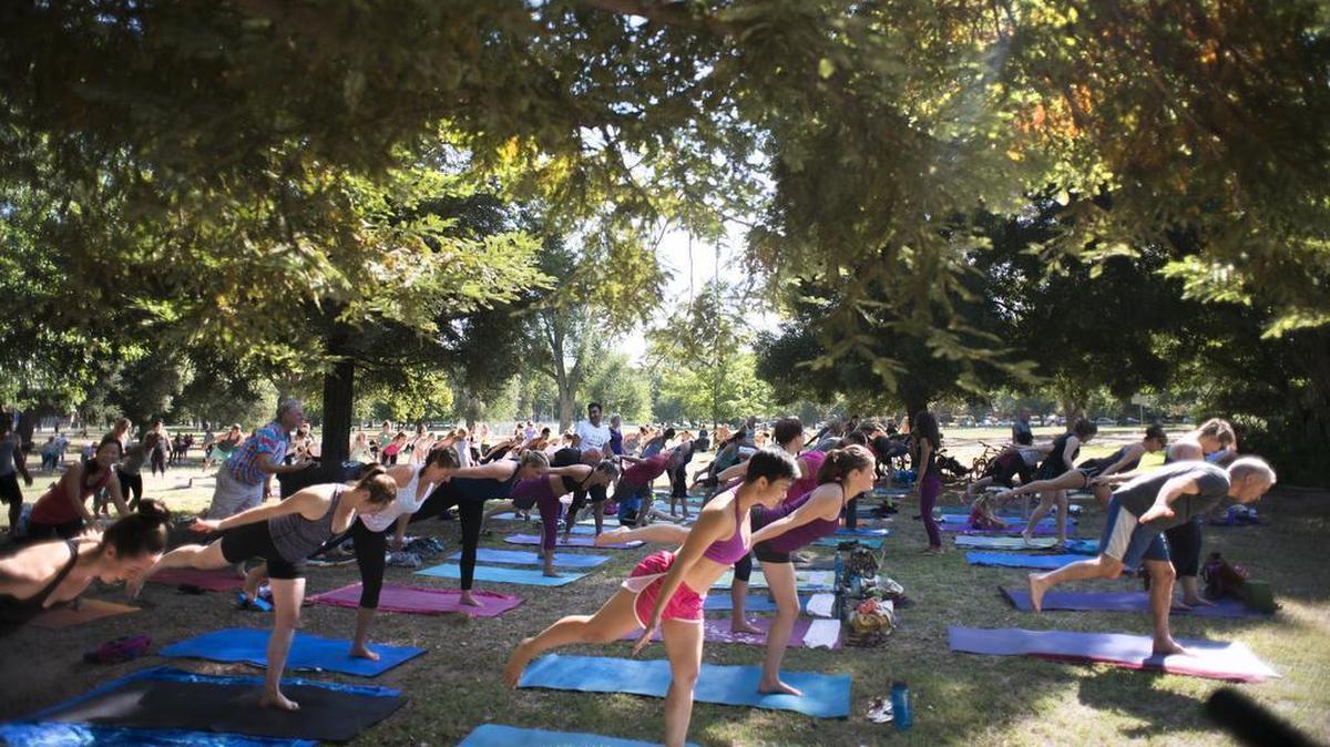 More than 100 people attend a free yoga class at McKinley Park in 2016.