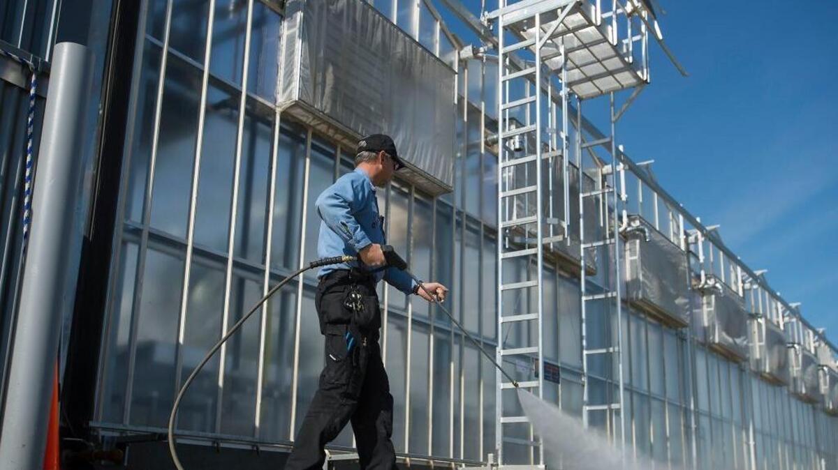 This Bayer greenhouse in West Sacramento, seen Tuesday, Feb. 23, 2016, is part of a $12 million expansion by the German pharmaceutical company as it seeks to develop new varieties of biopesticides.