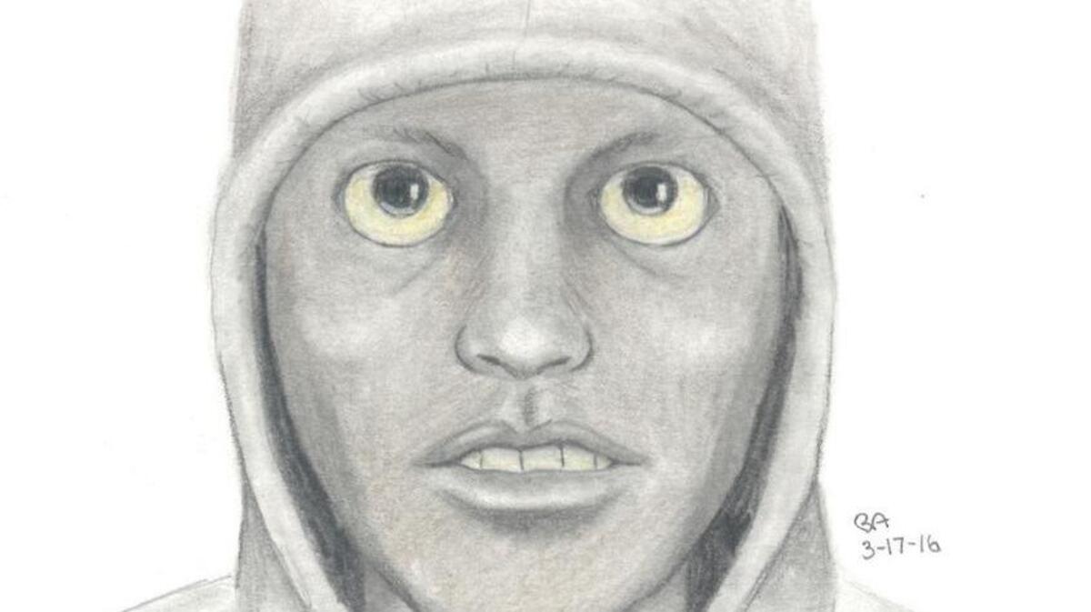 Citrus Heights police released a composite sketch of a man sought in a sexual assault investigation.