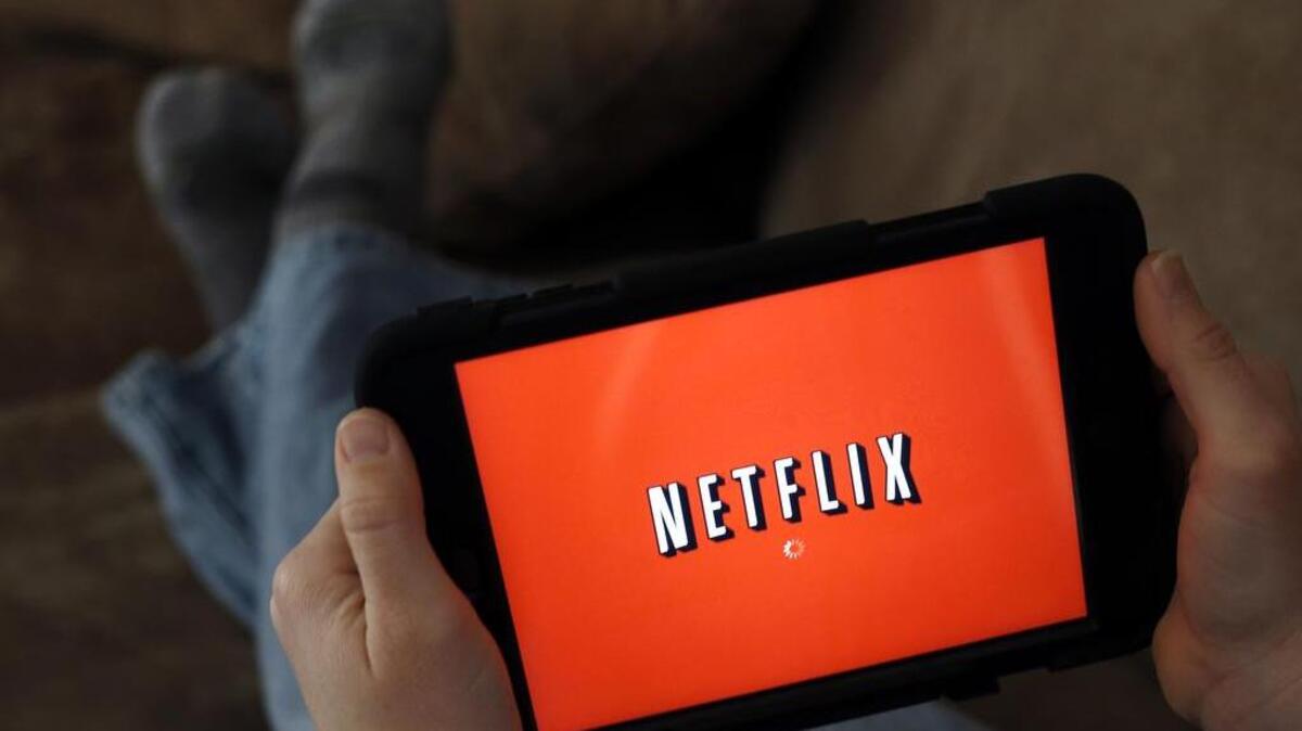 A judge on May 19 sentenced Kulwant Singh Sandhu, of Tracy, to probation for harassing phone calls he made to regulators about Netflix.