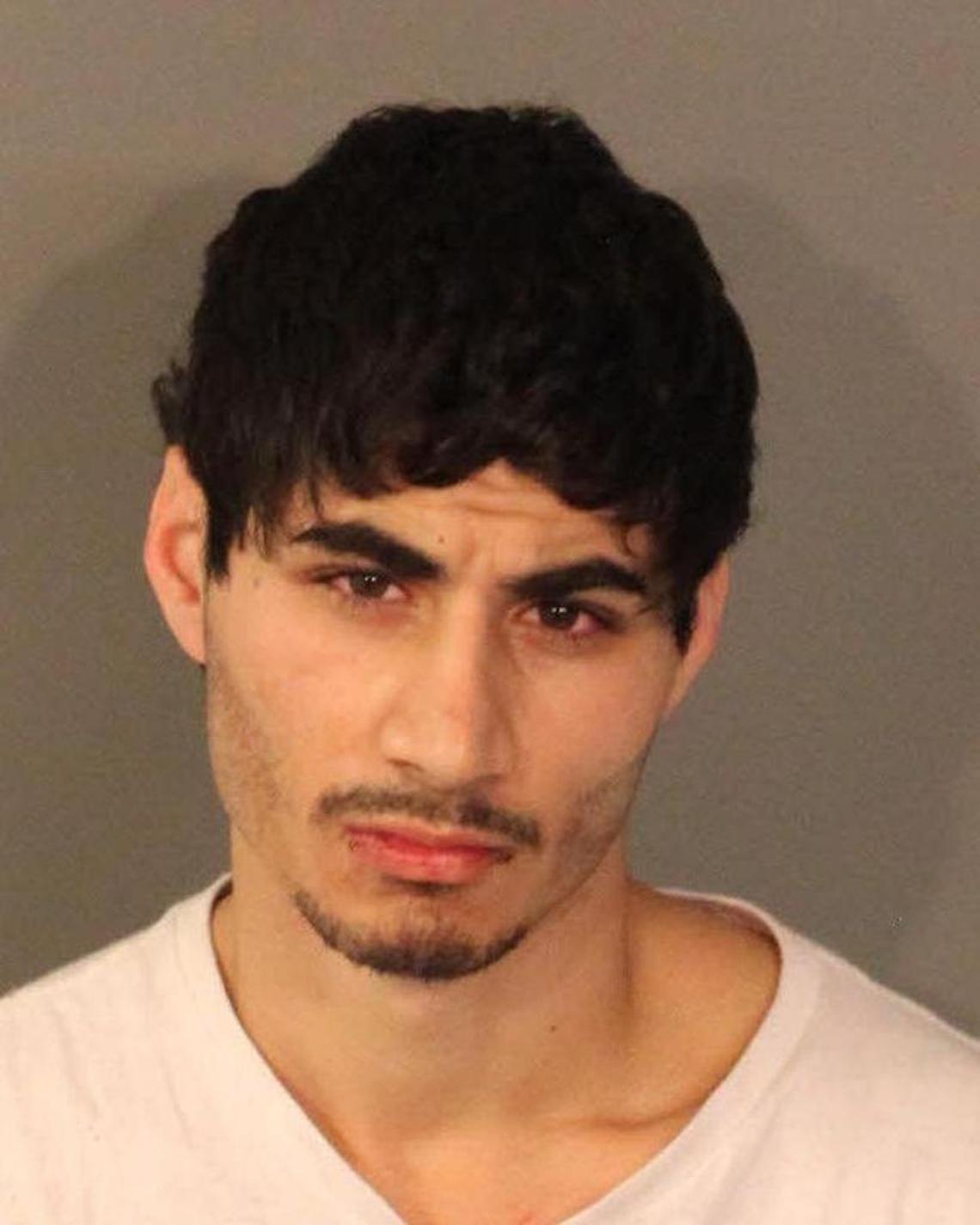 Zachary Samaha, 22, was charged with vehicle theft and driving under the influence after stealing a police car on Saturday, Jan. 6, 2017.