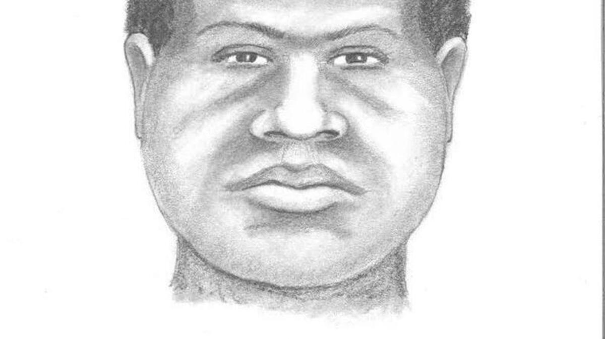 Composite sketch by artist of attacker