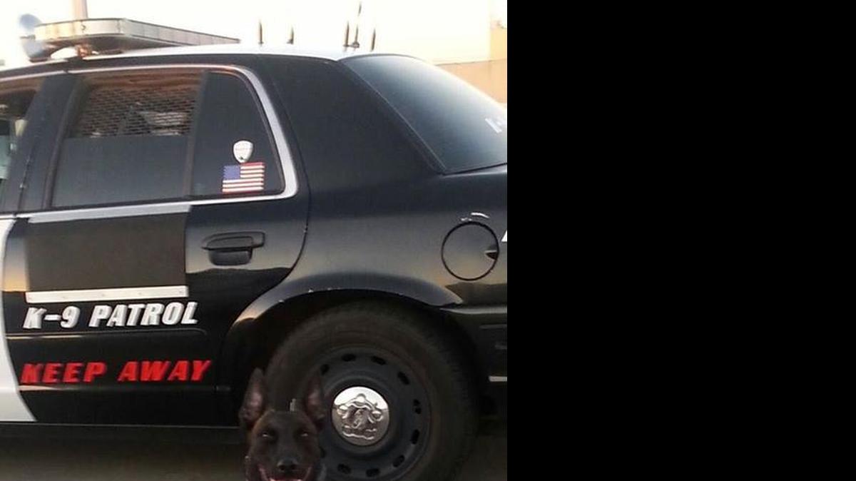 
Nitro, a Stockton police dog, died Tuesday when the air conditioner in a squad car failed.


