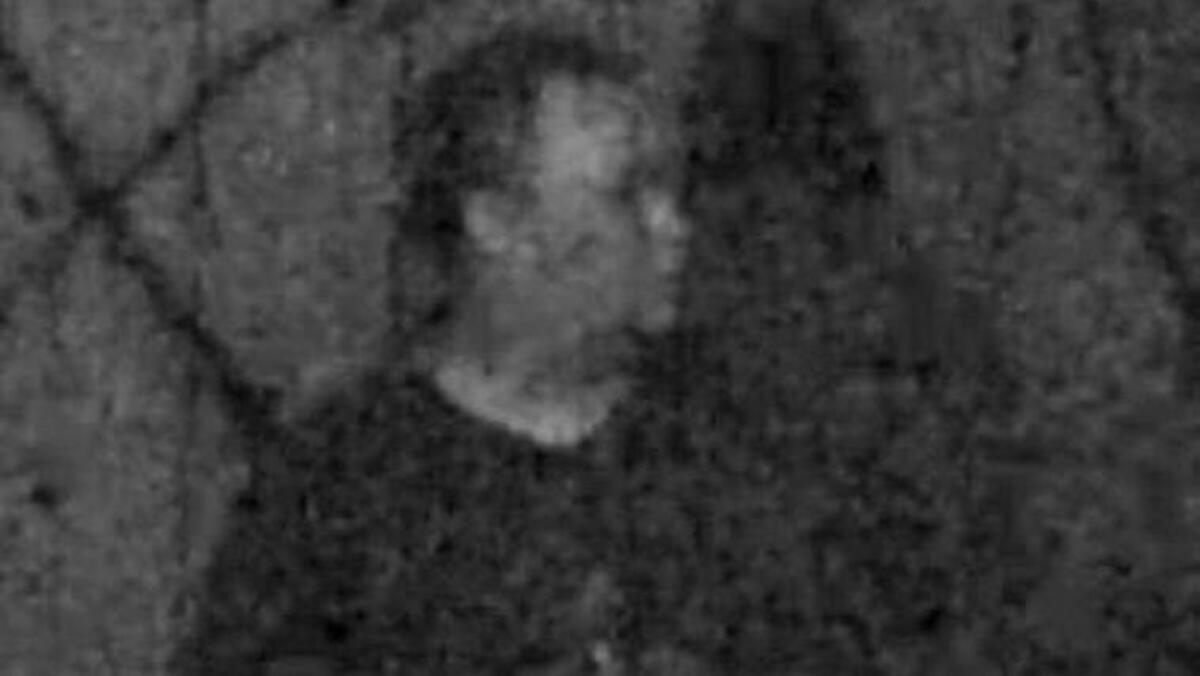 Elk Grove police released surveillance photos of men suspected of spray-painting hate-related graffiti on buildings at the Emerald Garden Apartments, 9521 Emerald Park Drive, on Thursday, Nov. 2, 2017.
