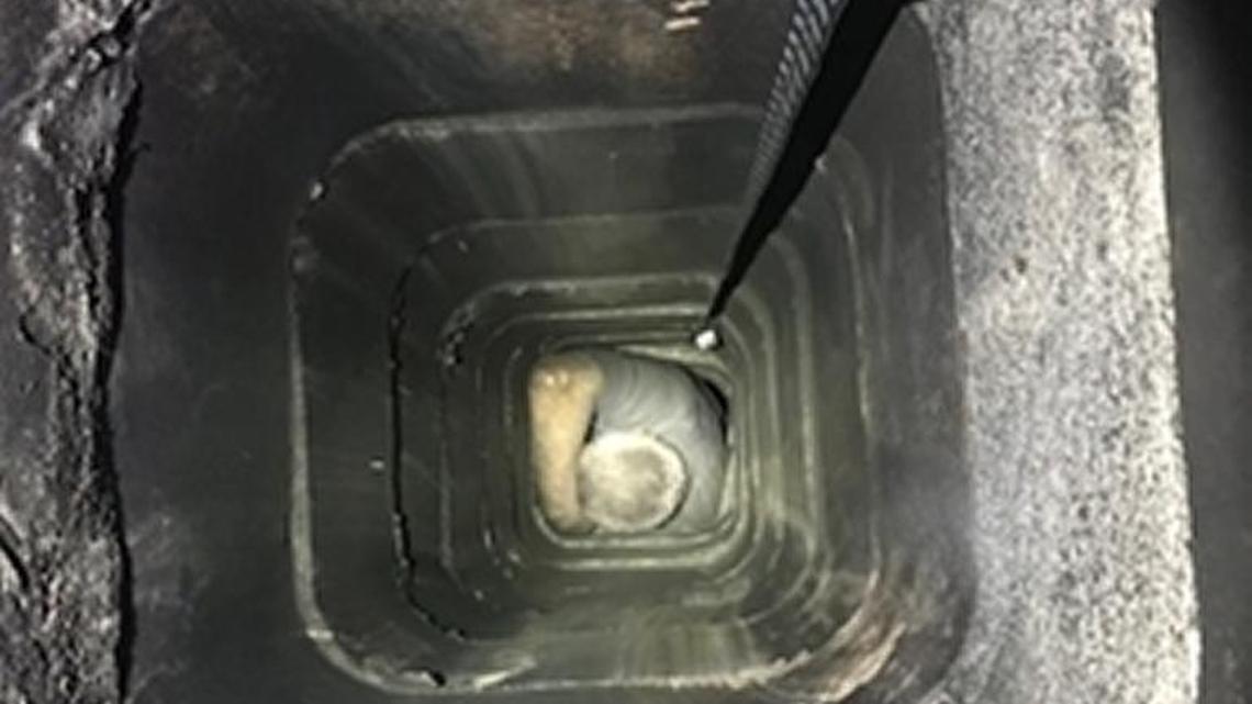 Sacramento Metropolitan Fire Department crews used special equipment to extricate a burglary suspect from the chimney of a Citrus Heights business on Wednesday, Dec. 13, 2017.