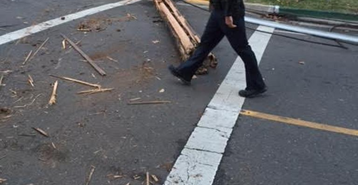 Splintered utility pole at 18th and L streets