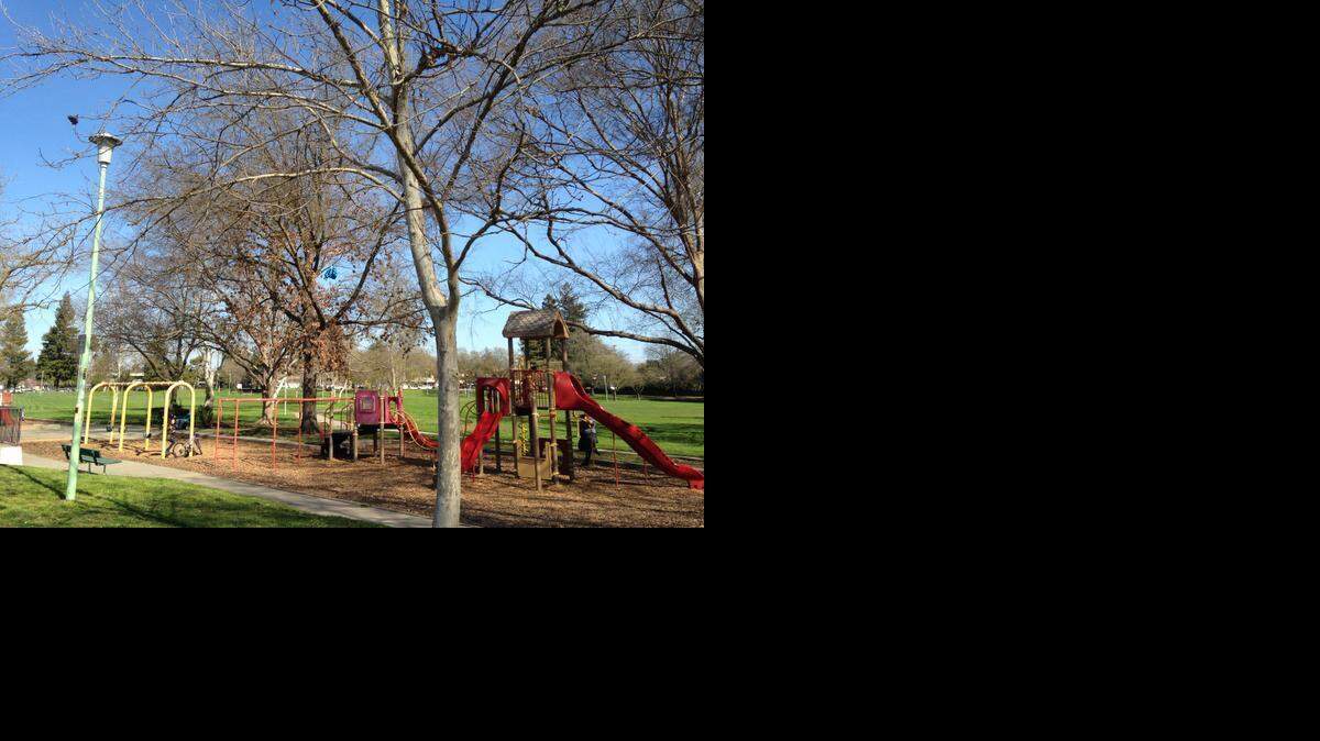 
The playground at Reichmuth Park.
