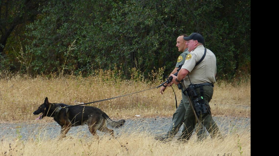 
Law enforcement personnel and a canine officer search for Mathew Graham, who reportedly was killed on Monday in Siskiyou County after a search that lasted several days.
