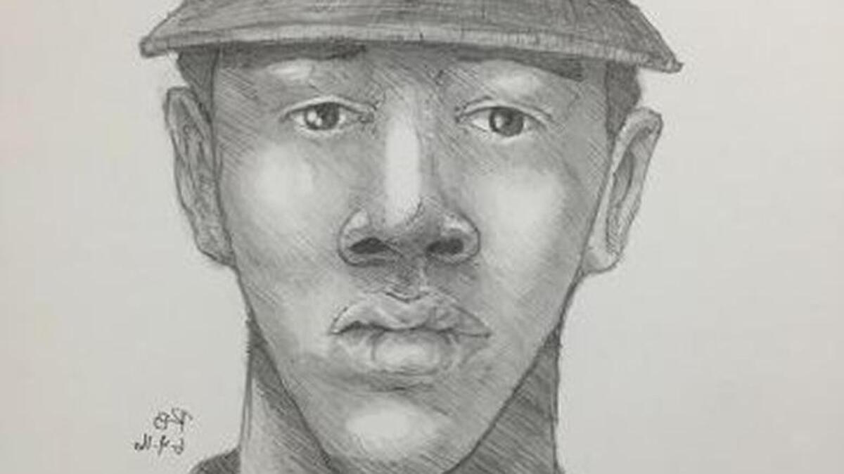 Composite sketch of sexual assault suspect.