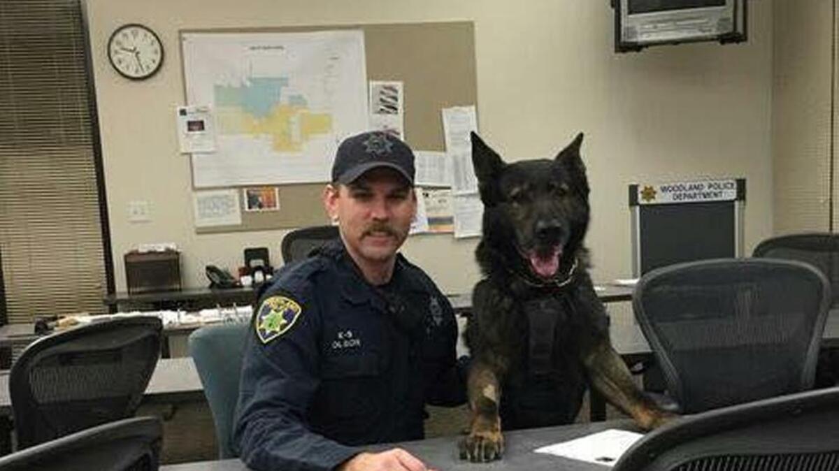 Mondo and handler Officer Brian Olson
