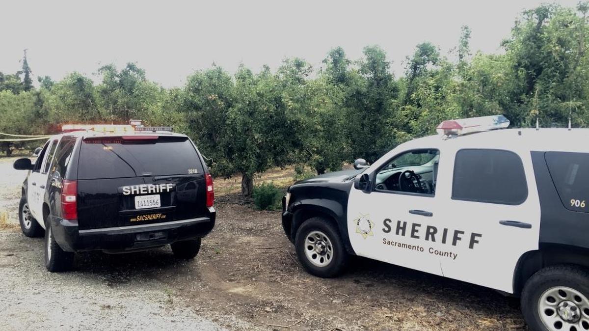 A man found shot to death June 8, 2017 in an orchard off Twin Cities Road in the Walnut Grove area was identified by the Sacramento County Coroner’s Office as 19-year-old Demoria Ellis-Rivers.