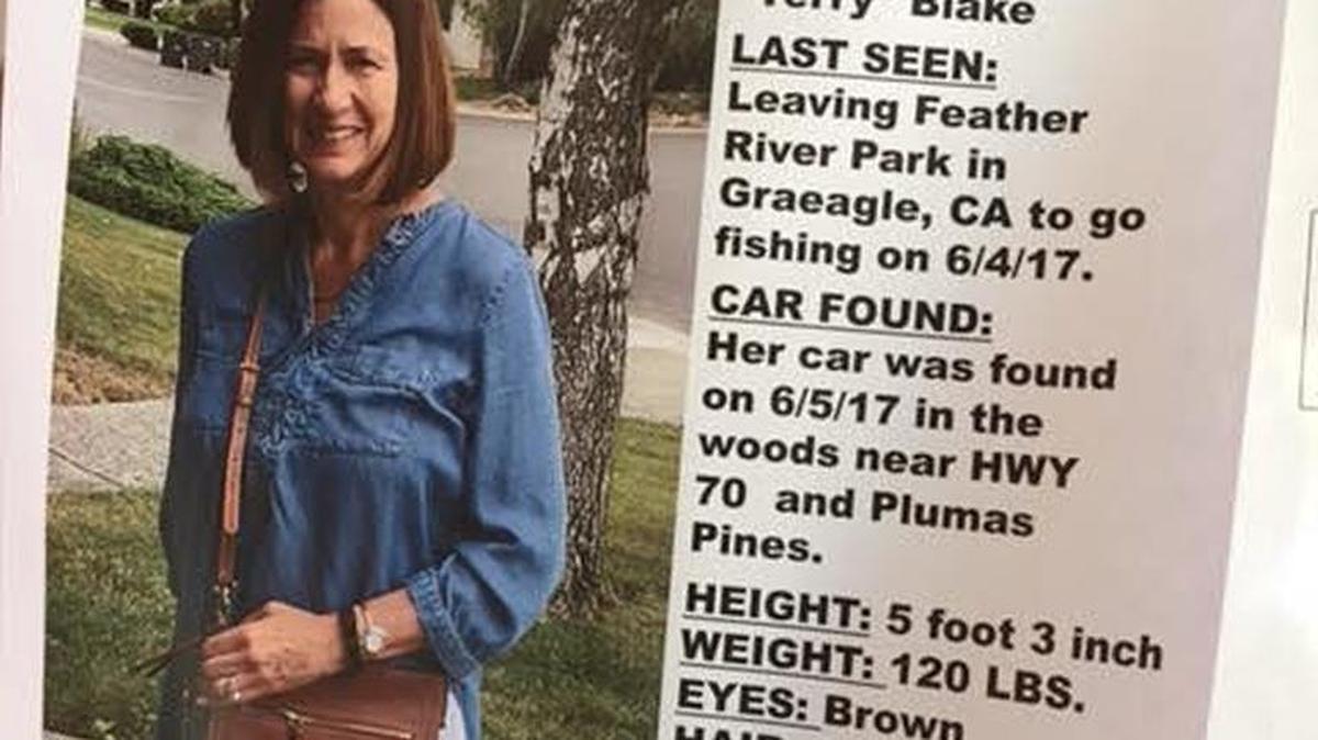 Missing poster for Teresa Blake.