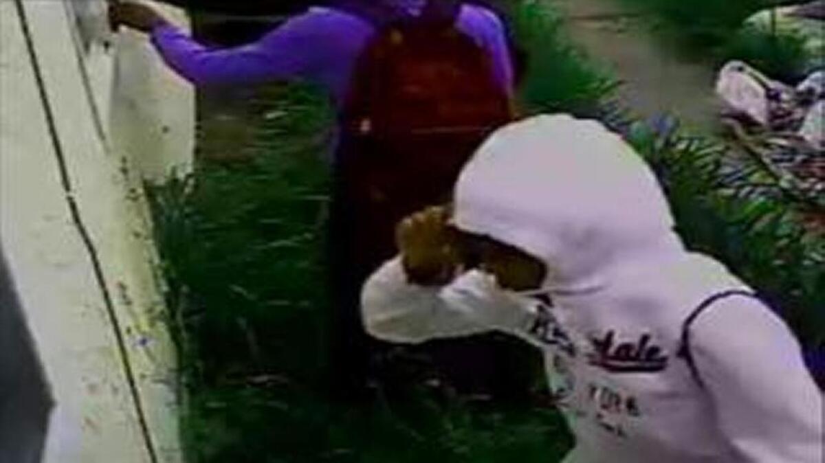 A home surveillance system captured photos of three boys sought in connection with an April 22, 2017 burglary at the Sacramento residence in the 2300 block of 68th Avenue.