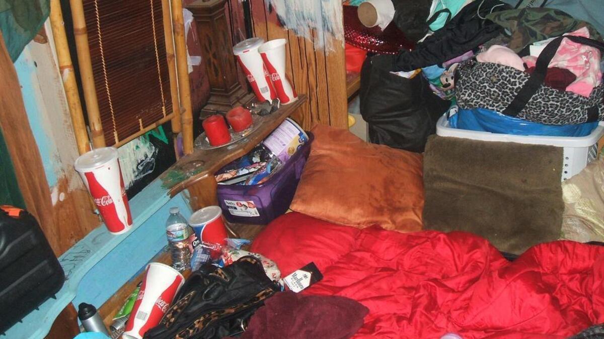 The El Dorado County Sheriff’s Office allegedly discovered drug paraphernalia in the shed.