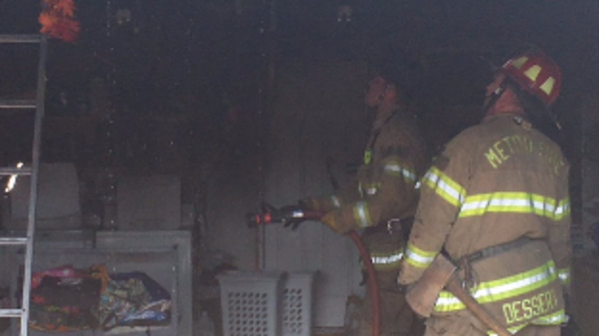 A heat lamp used to warm chicks was blamed for a fire that damaged and Orangevale garage and killed six chicks.