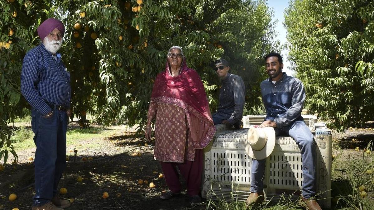 When Rajan Gill, at right, first heard about the July 25 murder of Simranjit Singh at a south Sacramento gas station, the Yuba City teacher thought immediately to a spring day six years ago when two men from the Sikh religion were gunned down in Elk Grove. Gill is pictured with his grandparents Jagtar Gill and Gurmeet Gill and cousin Ahrmani Gill at a Yuba City peach orchard they own.
