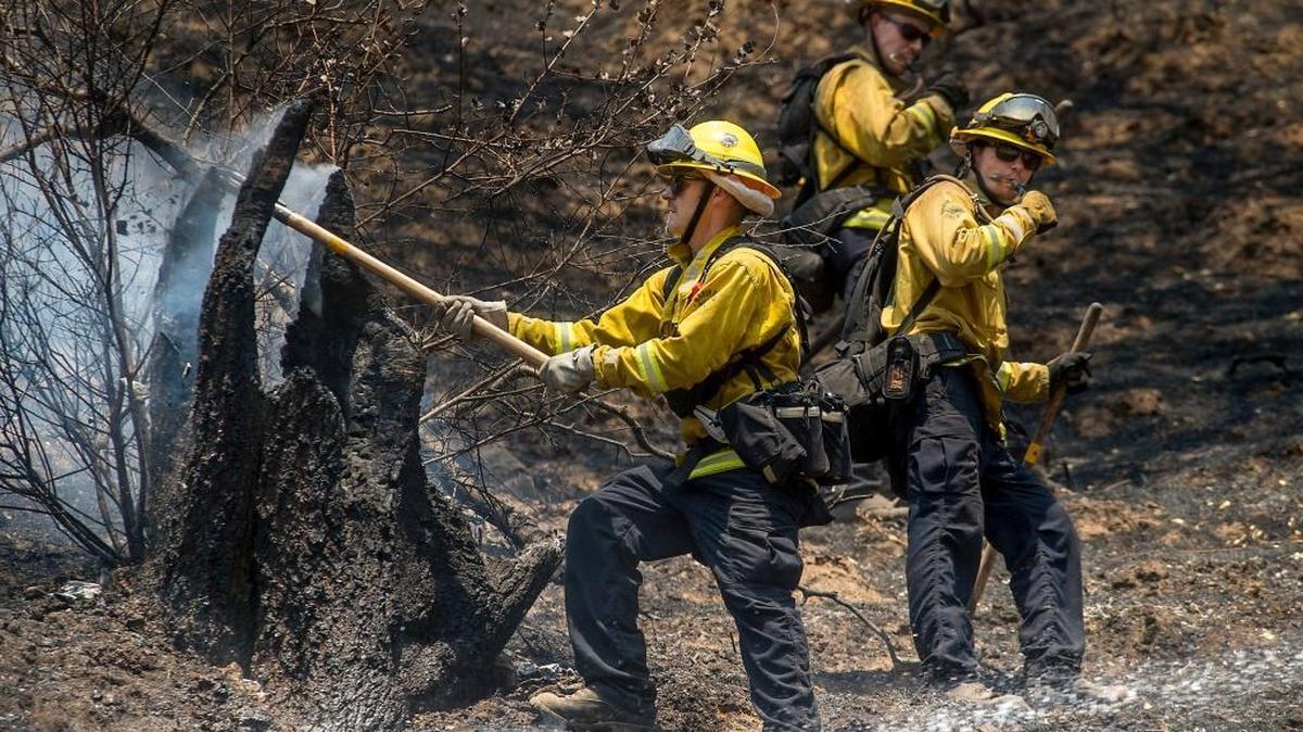 Cal Fire crews control hot spots on the slow-moving Cold fire near Lake Berryessa on Wednesday, August 3, 2016.