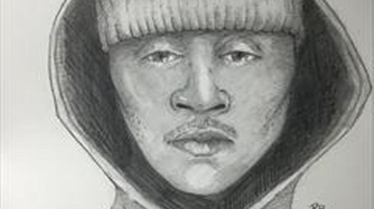 Drawing of man police said tried to kidnap at 13-year-old girl in East Sacramento, Wednesday, March 16, 2016.