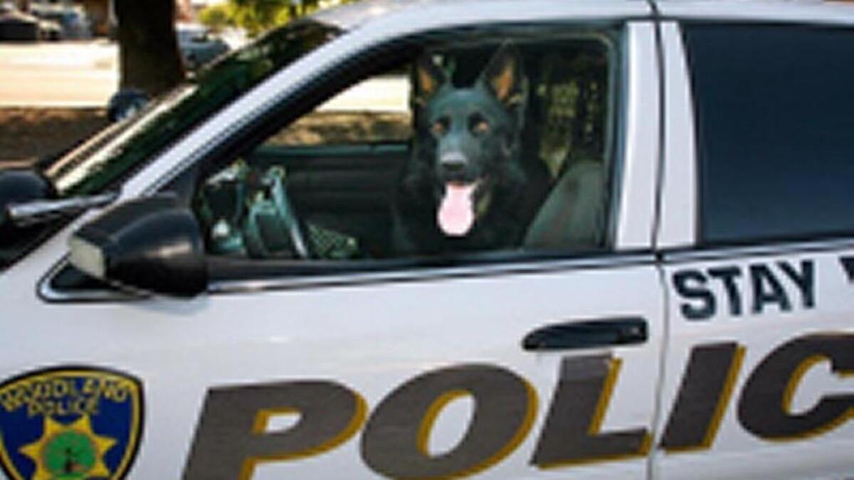 Peydro, retired Woodland police K-9, has died.