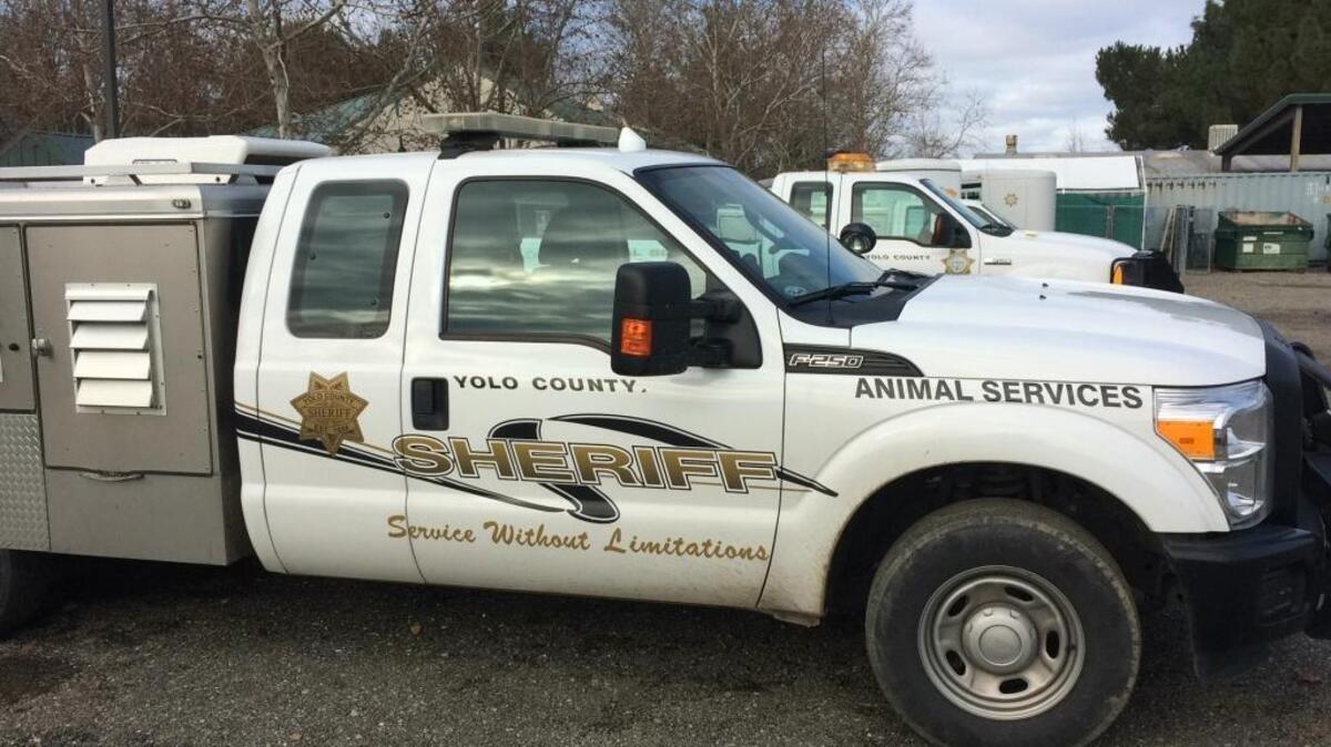 Animal services responded to scene