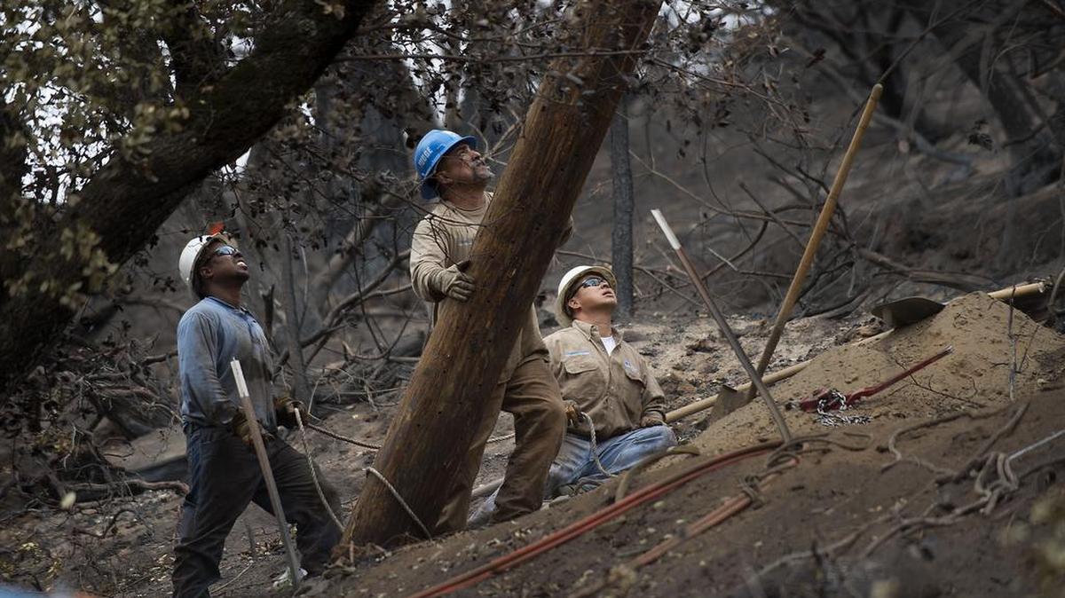 
PG&E crews replace power poles earlier this month in the burned-out area of Mokelumne Hill blackened by the Butte fire in Calaveras County.
