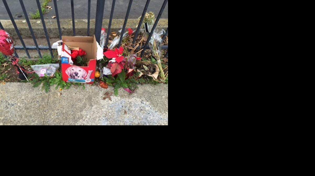 
Dog treats, flowers and signs were left at the spot where the dog was burned.

