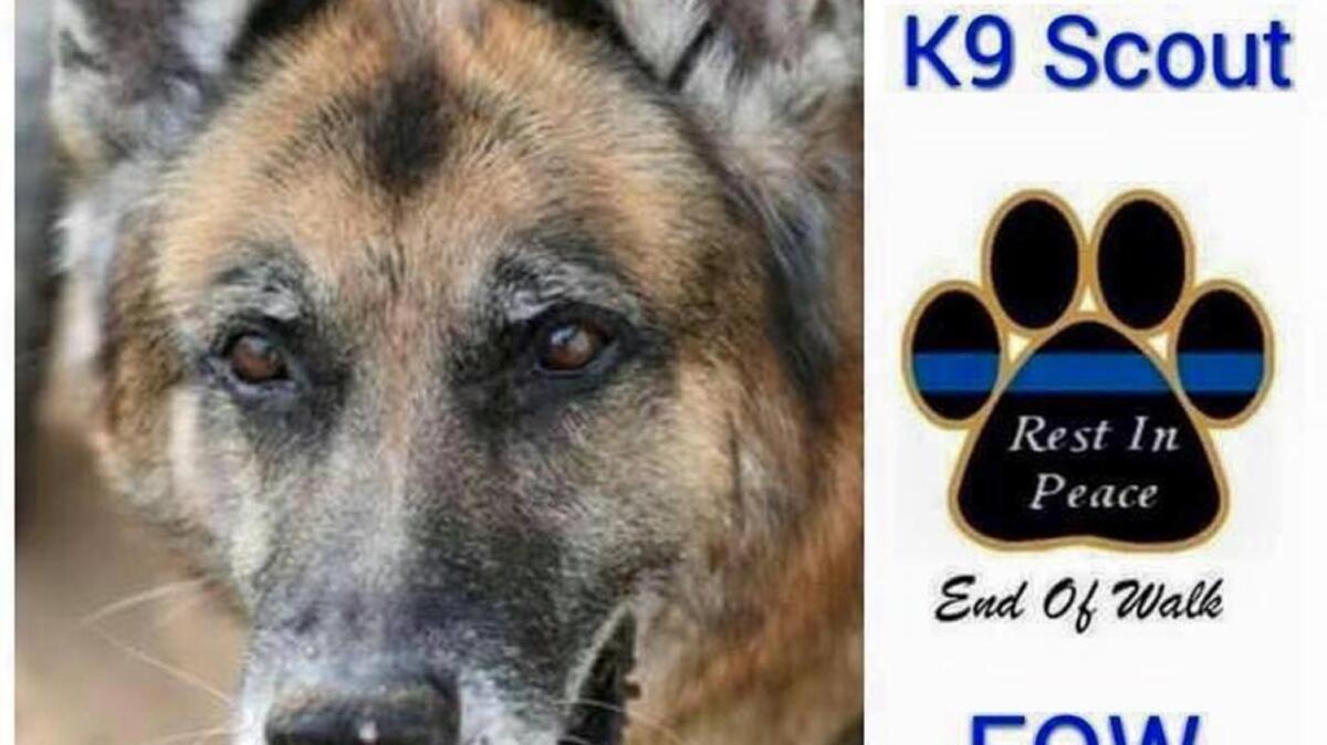 RIP: Police dog Scout