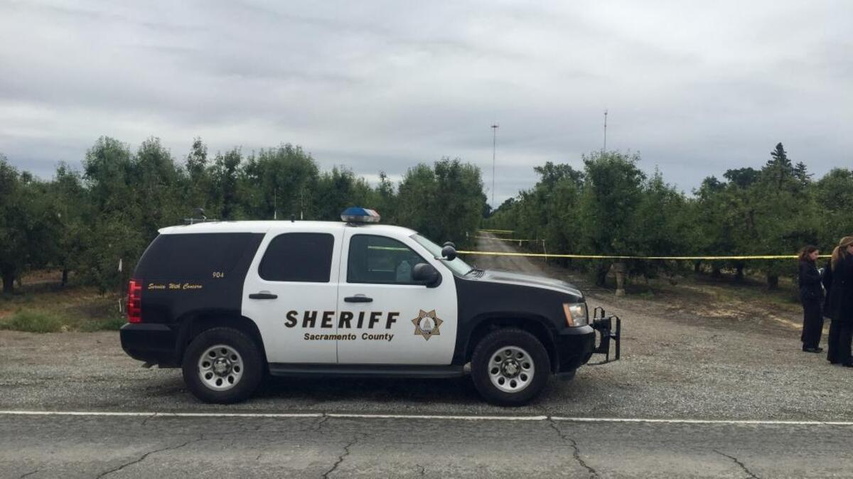 A man was found shot to death in an orchard near Twin Cities Road, just east of River Road, in south Sacramento County on June 8, 2016.