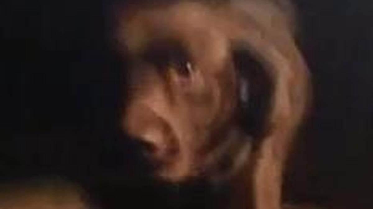 
Buddy, a chocolate lab, is credited with saving his owner’s life by alerting him to a fire in a south Sacramento home that apparently had no working smoke alarm. 
