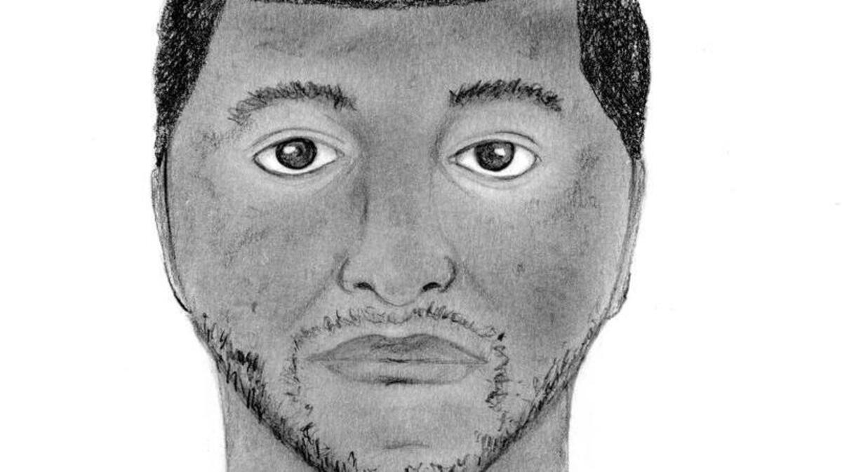 
A sketch depicts a man suspected of sexually assaulting two women in North Highlands.
